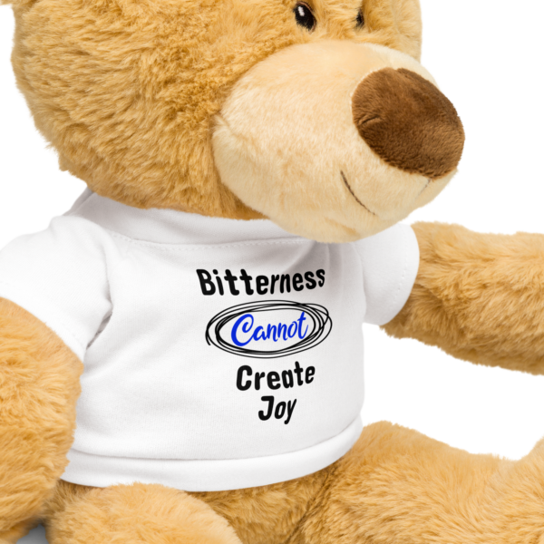 Cheryl H Gore | Create Joy | Teddy Bear With T-Shirt - Image 3