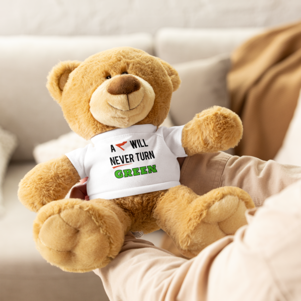 Cheryl H Gore | A Red Flag | Teddy Bear With T-Shirt - Image 3