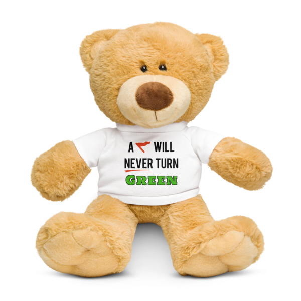 Cheryl H Gore | A Red Flag | Teddy Bear With T-Shirt